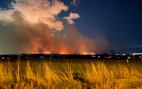 Climate Change Wildfire