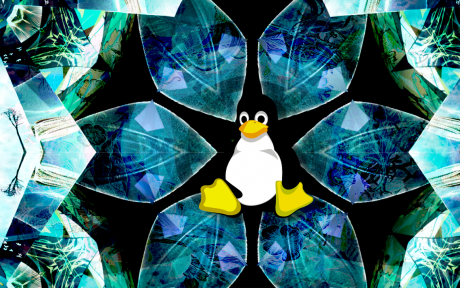 Tux Penguin in Kaleidoscope; Image by Amber Ankerholz