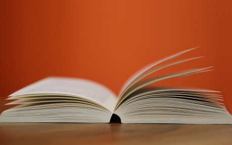 Understanding the OpenDocument Format - image by Pexels from Pixabay